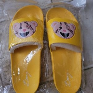 Bray Slides